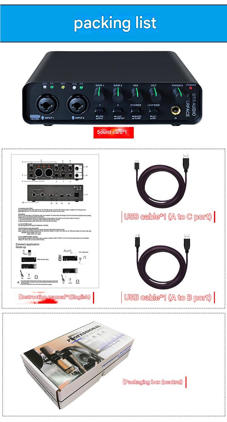 Professional audio interface for musicians