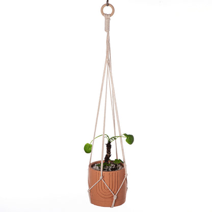 Stylish plant decoration accessory - image 10