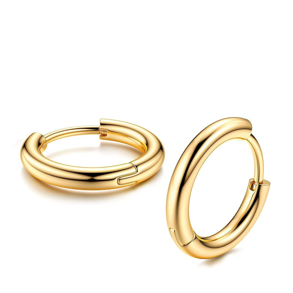 Fashionable G23 titanium ear hooks image 4
