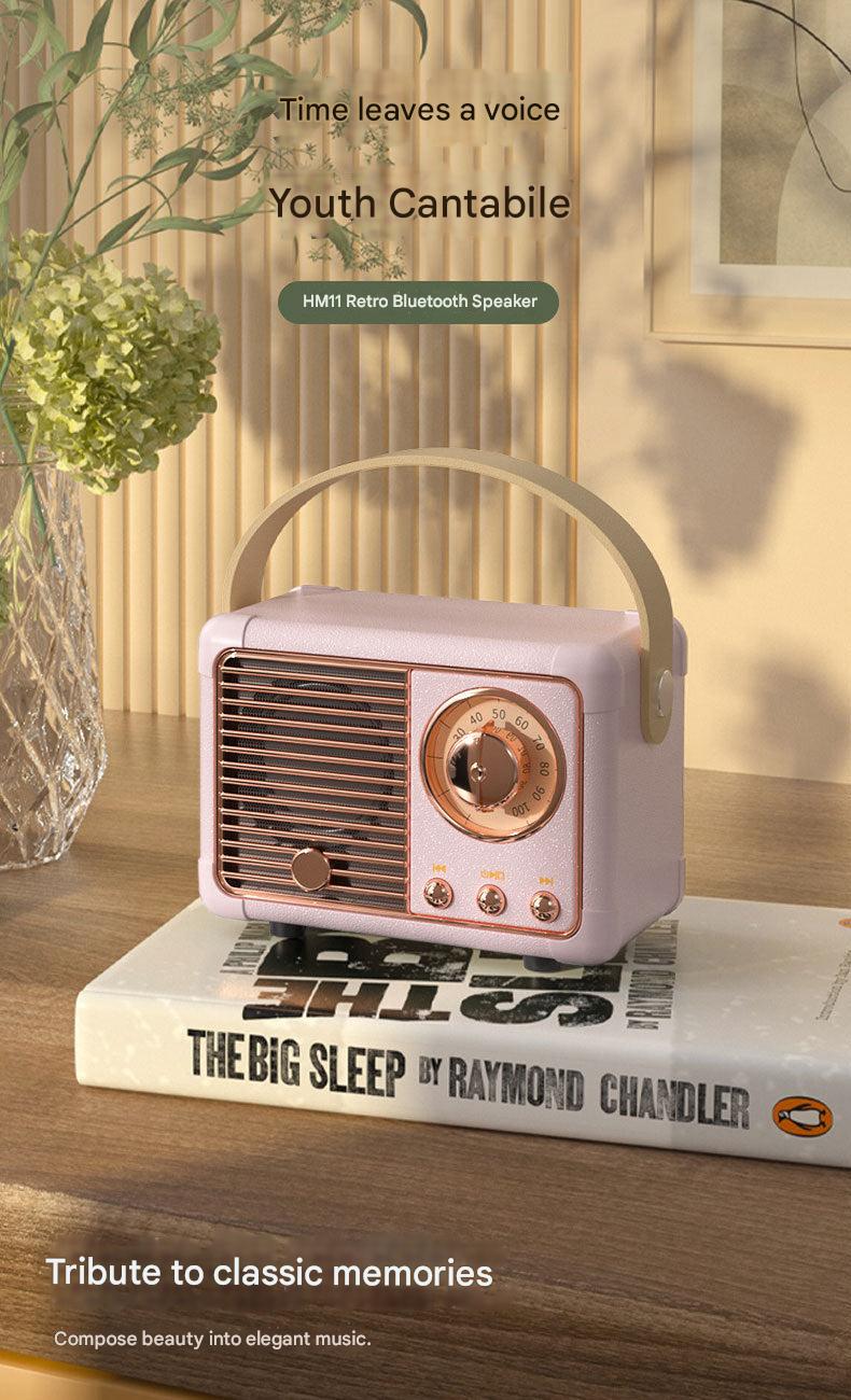 Wireless speaker for outdoor fun