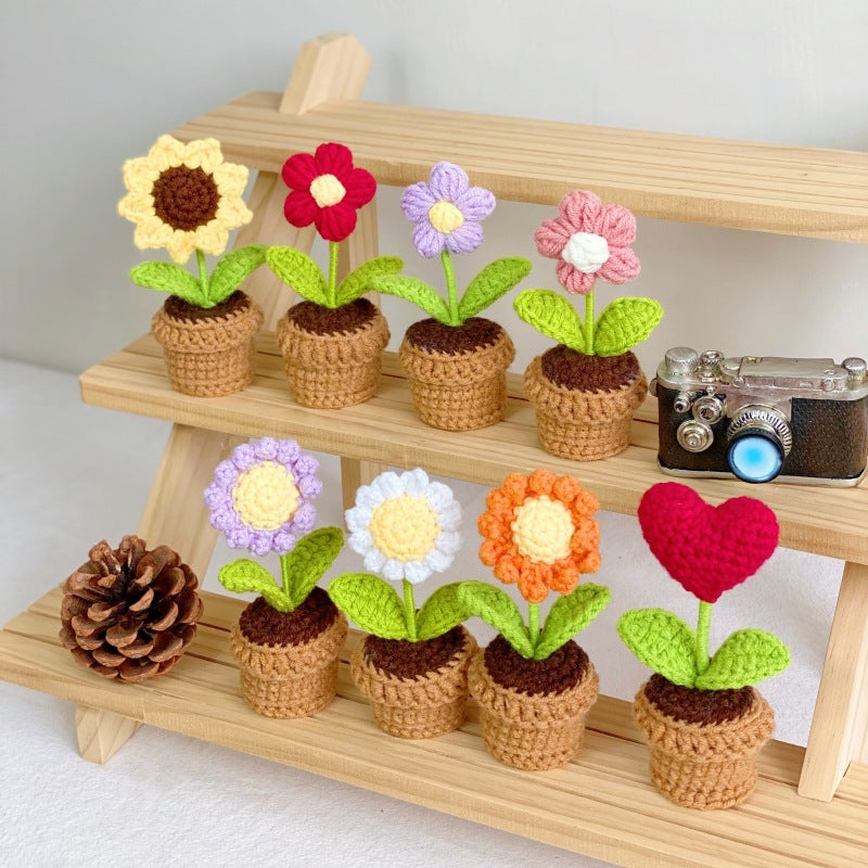 Creative home decor succulent arrangement