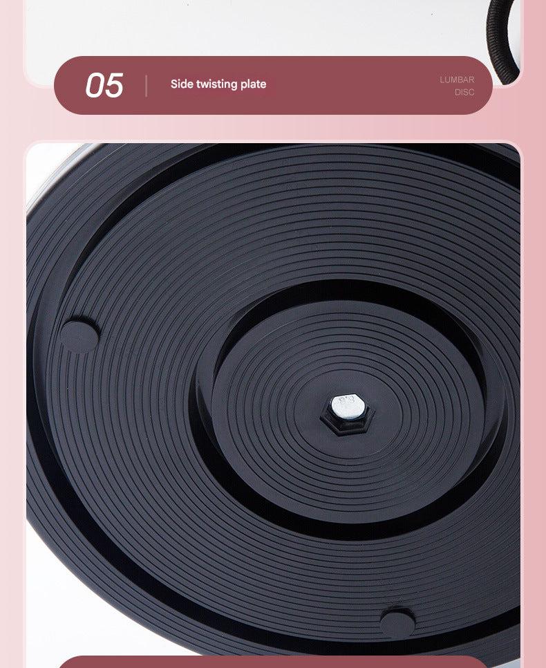 Waist Twisting Disc Image 6