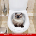 MT253024 Kitten E