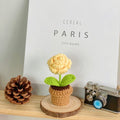 B Style Yellow Rose Potted Plant