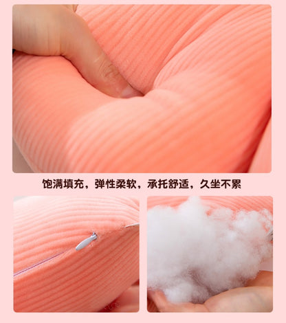 decorative sofa pillow