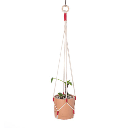 Indoor plant holder made from cotton rope - image 3