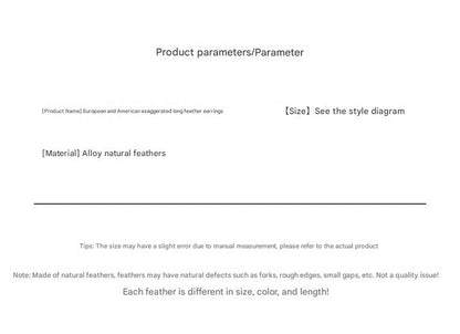 Close-up of natural feather earrings for women