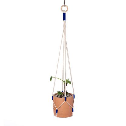 Decorative hanging plant display - image 5