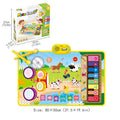 Farm Style A Color Box [80*50cm] (Pack of 1)