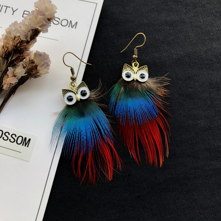 Colorful feather earrings on display