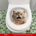 MT253021 Kitten B