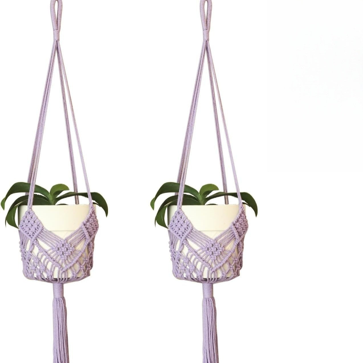 Versatile hooks for plant baskets image 8
