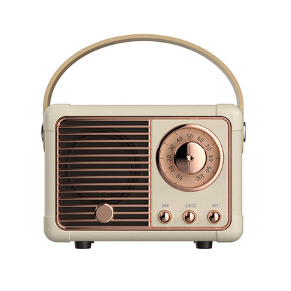 Wireless speaker for outdoor fun