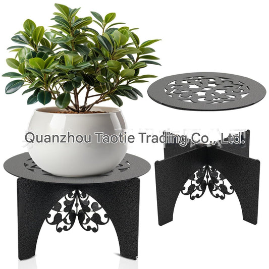Elegant Plant Display Image 10